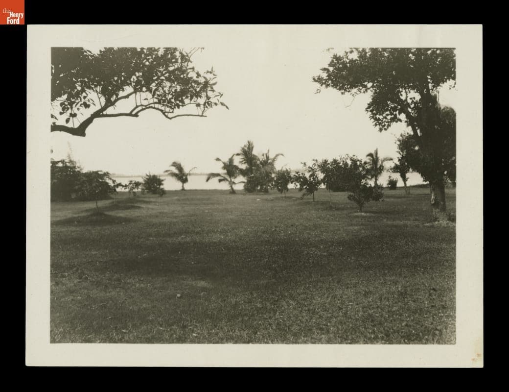 Grounds of "The Mangoes," Winter Estate of Henry and Clara Ford, circa 1925
