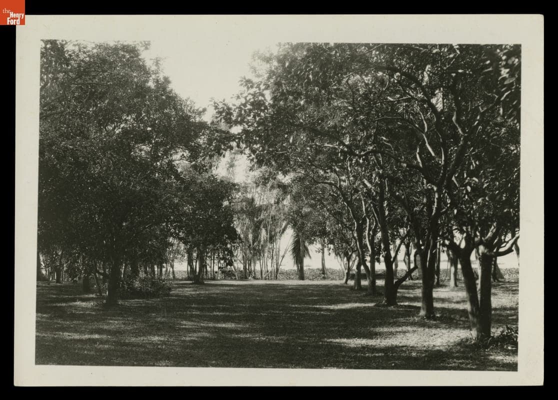 Grounds of "The Mangoes," Winter Estate of Henry and Clara Ford, circa 1925