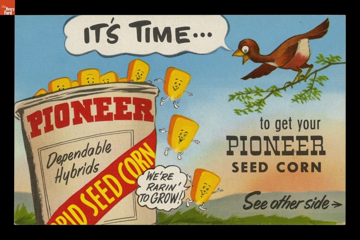 Customer Notification Postcard, "It's TIme to Get Your Pioneer Seed Corn," circa 1958