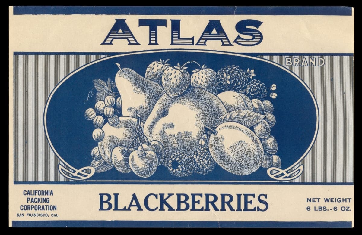 Crate Label, "Atlas Brand Blackberries," 1920-1930