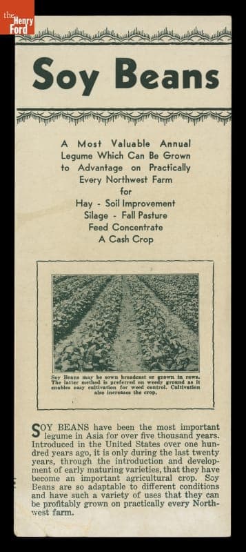 Brochure, "Soy Beans: A Most Valuable Annual Legume...," circa 1950