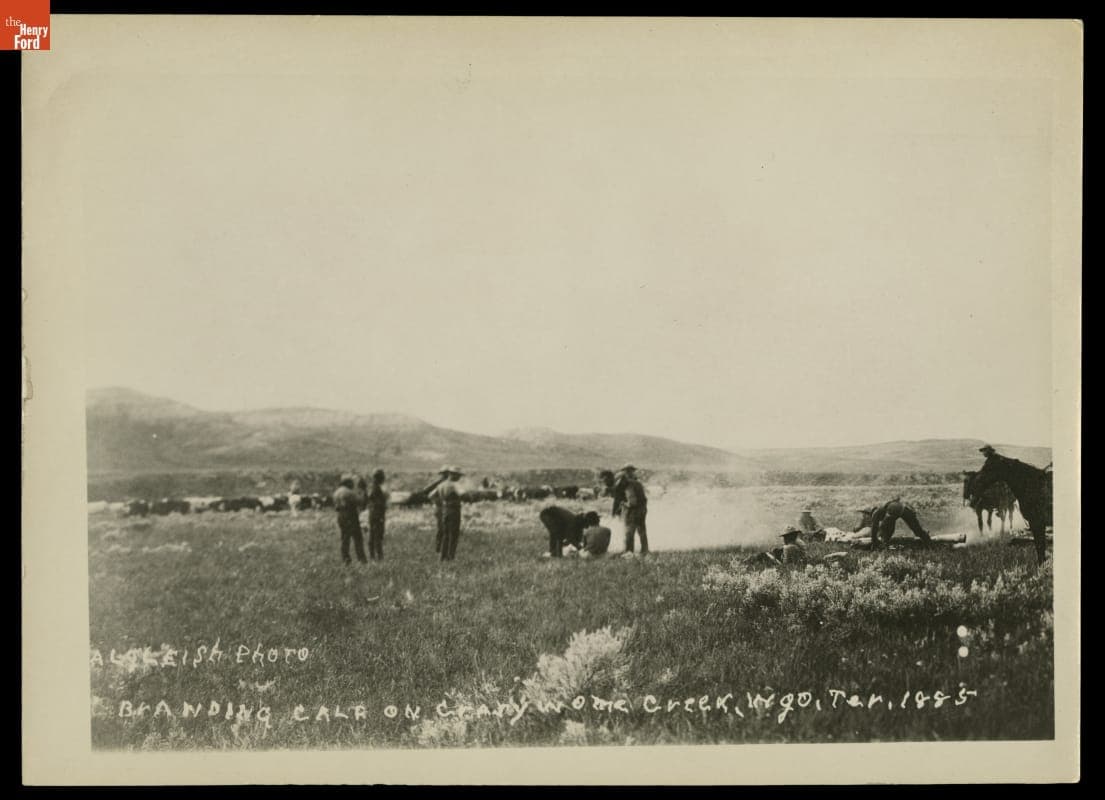 Branding a Calf at Crazy Woman Creek, Wyoming Territory, 1884-1885