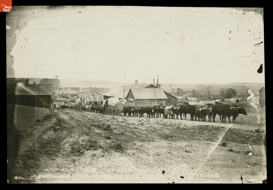 Oxen and Wagons on Main Street, Buffalo, Wyoming Territory, 1885