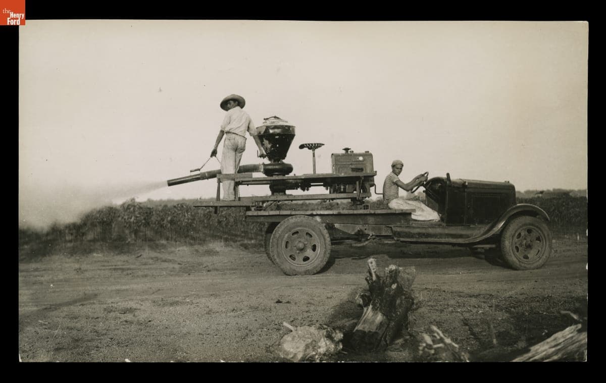 Men Dusting Nursery Plants Growing at Belterra, Brazil, circa 1935