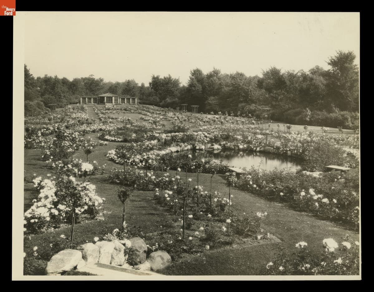 Rose Garden at Fair Lane Estate, Dearborn, Michigan, circa 1926