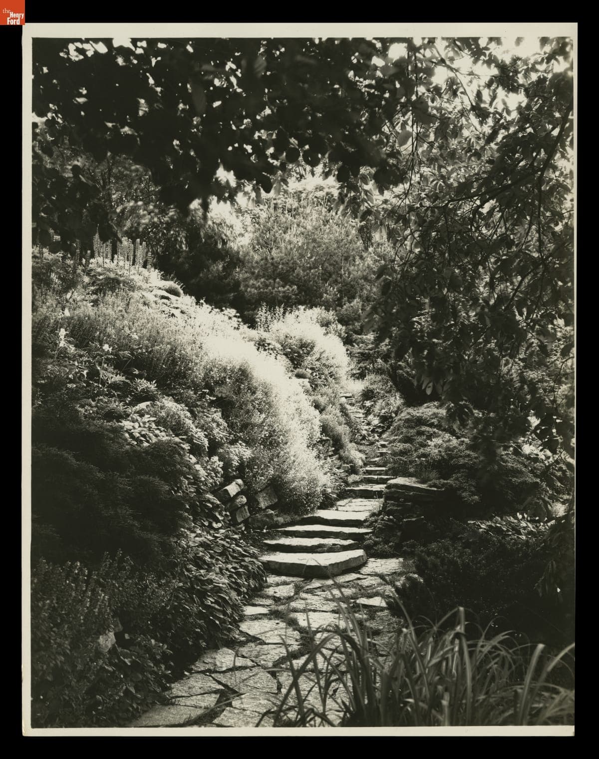 Rock Garden at Fair Lane Estate, Dearborn, Michigan, June 1929
