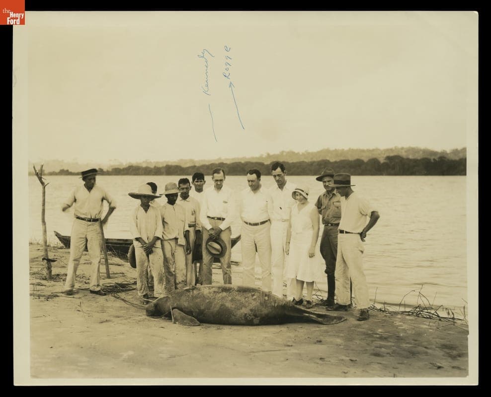 Ford Workers and Administrators Viewing a Sea Cow, or Manatee, at Fordlandia, circa 1931