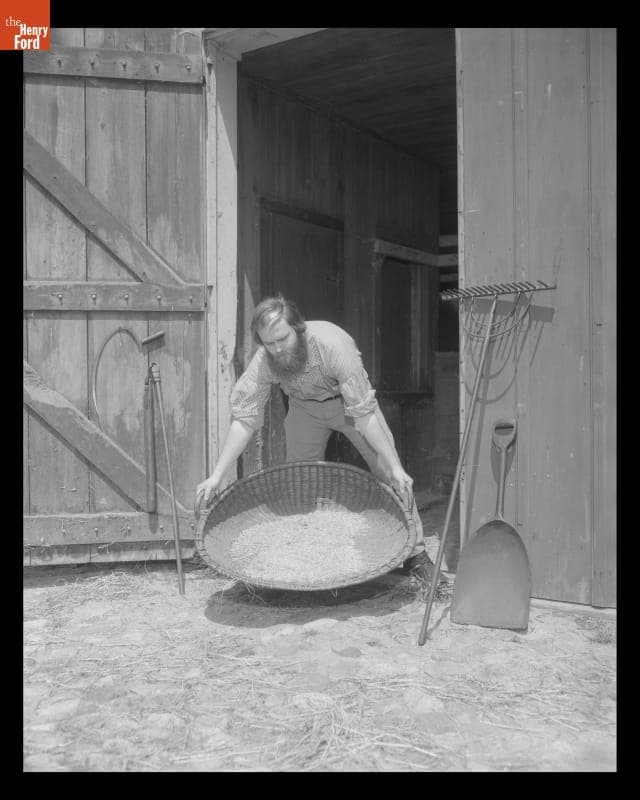 Demonstrating Winnowing at Addison Ford Barn in Greenfield Village, May 1974