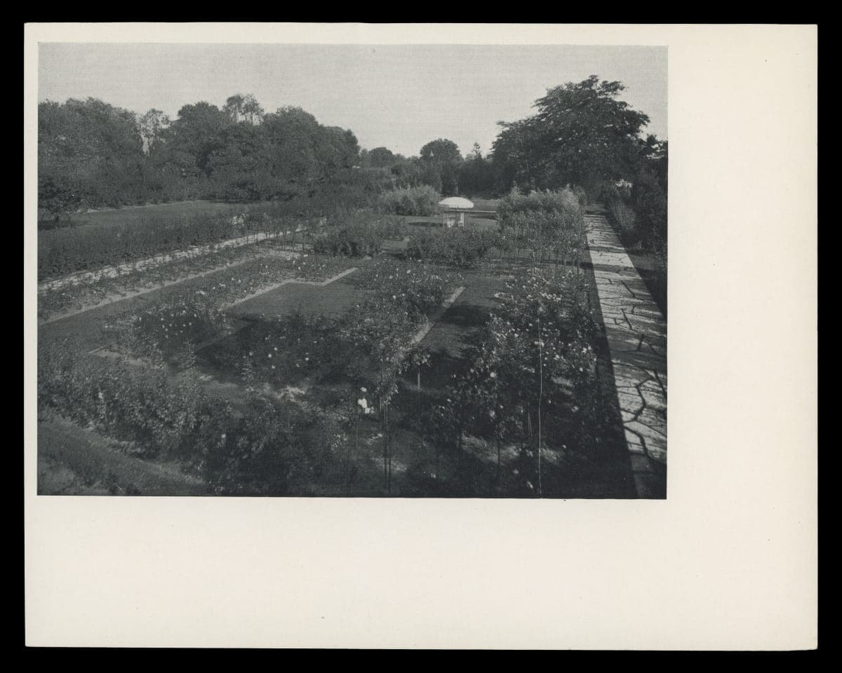 Rose Garden at Fair Lane Estate, Dearborn, Michigan, 1916