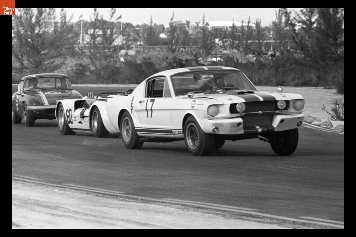 Ford Mustang GT350 Driven by John Scott at Bahamas Speed Weeks, November - December 1965