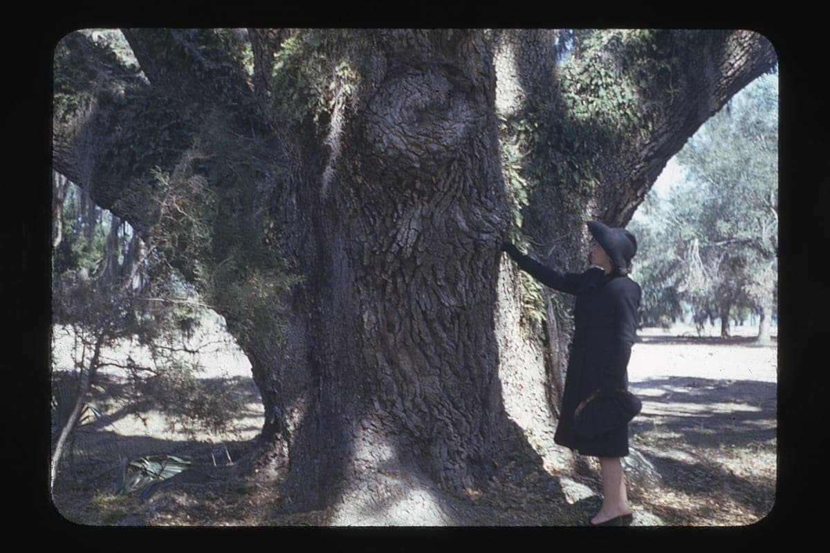 Clara Ford at the Fords' Winter Home in Georgia, Richmond Hill Plantation, circa 1943