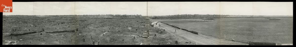 Fields Cleared of Trees, Fordlandia, Brazil, 1934