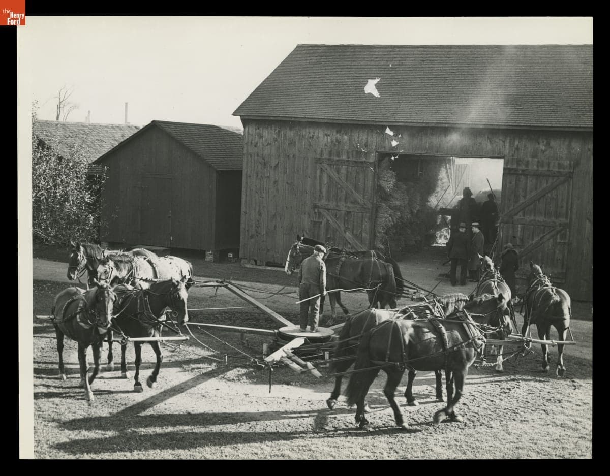 Threshing at the Ford Homestead, Dearborn, Michigan, November 1936
