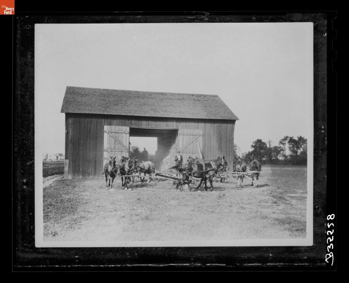 Horse-Powered Machine Used to Run Separator at the Ford Homestead Barn, 1924