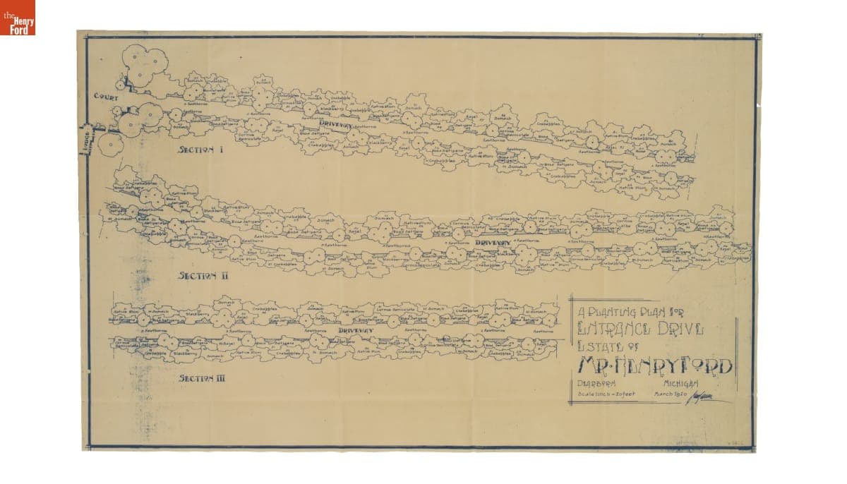 Landscape Architecture Drawing for Fair Lane, "A Planting Plan, Entrance Drive," March 1920