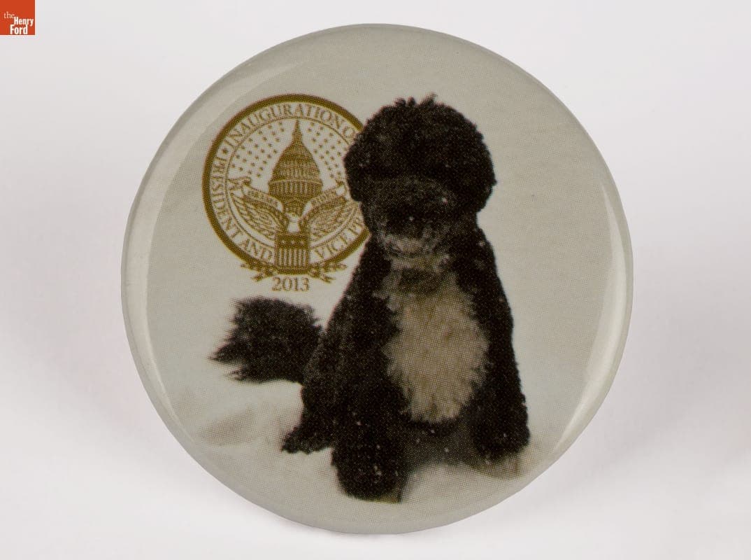 "First Dog" Bo Presidential Inauguration Button, 2013