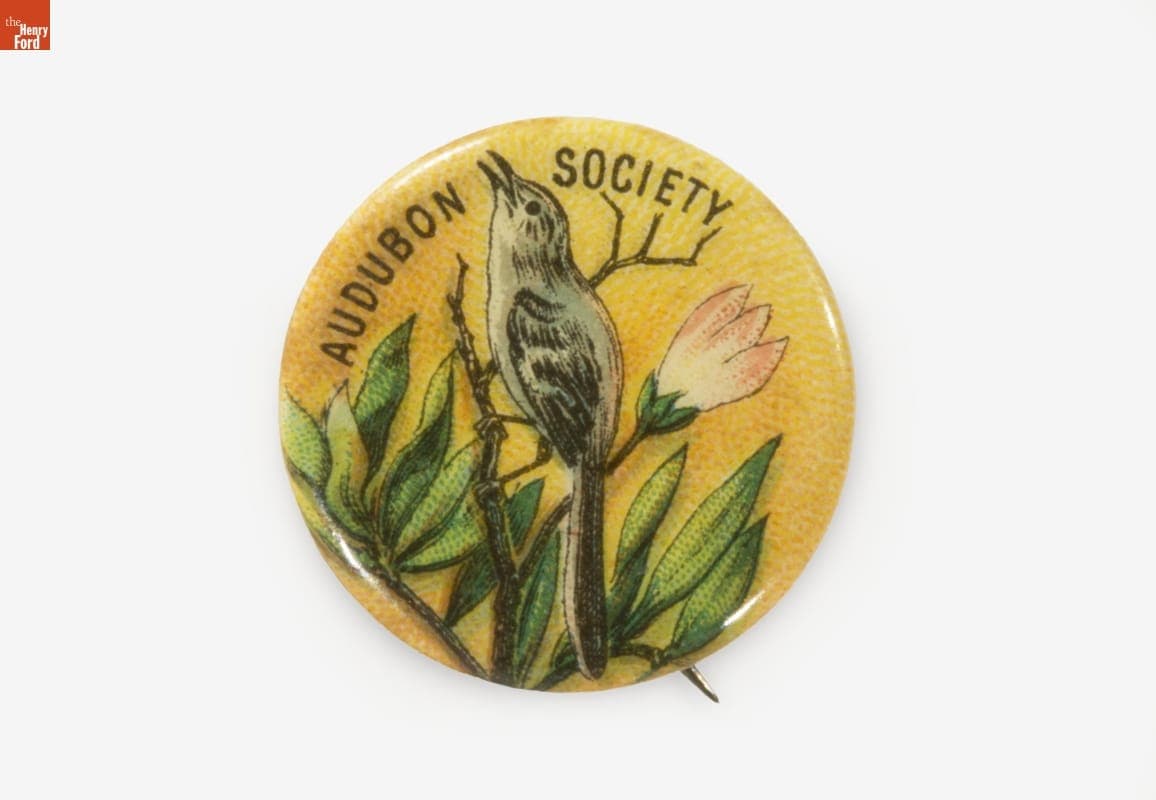 National Audubon Society Junior Member Mockingbird Button, circa 1910