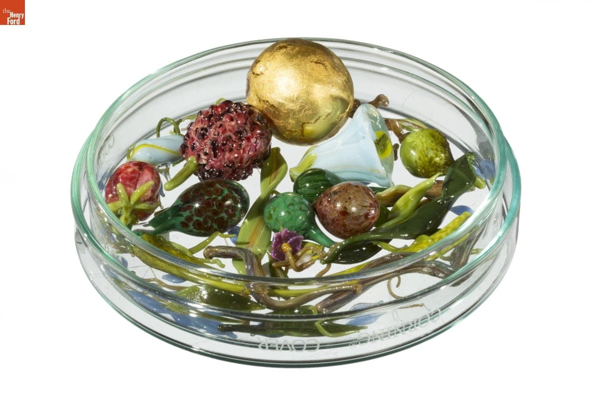 Petri Dish with Glass Inclusions, Used by Paul Stankard, 2010-2015