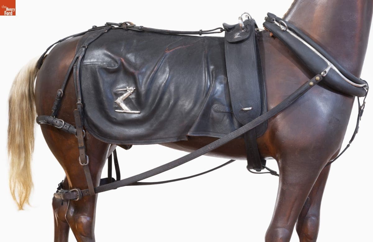 Single Coupe Harness, Used by the Hewitt Family, 1870-1900