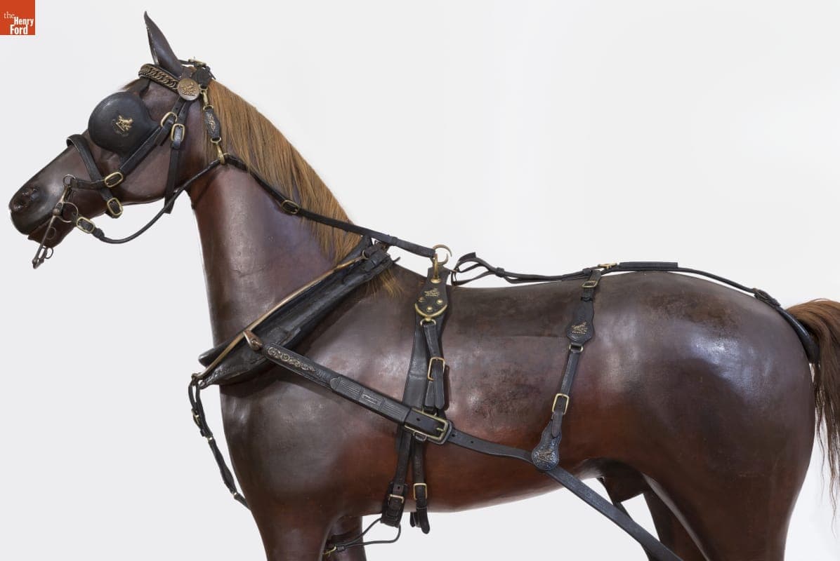 Double Brougham Harness, Used by the Hewitt Family, 1870-1900