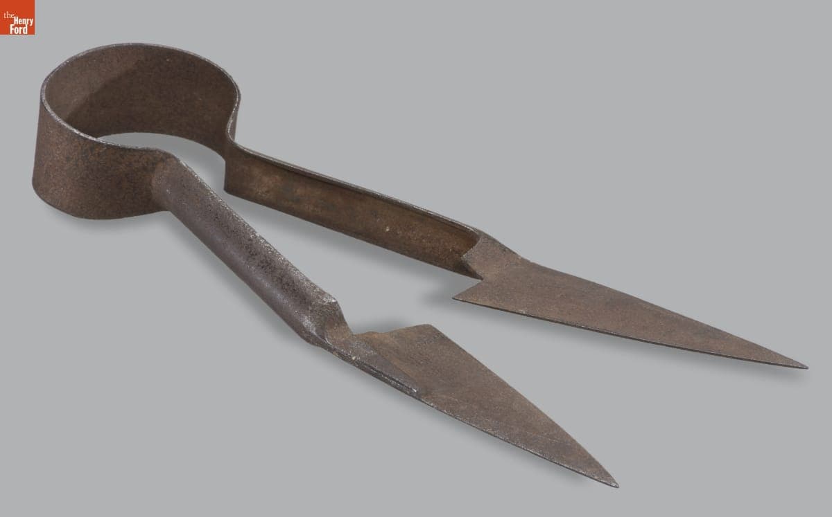 Wilkinson Sheep Shears, circa 1900