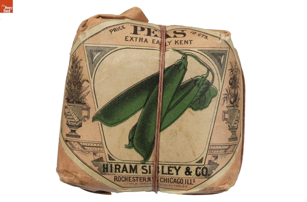 Hiram Sibley & Co. "Peas Extra Early Kent" Seed Packet, Used in the C.W. Barnes Store, 1882-1888