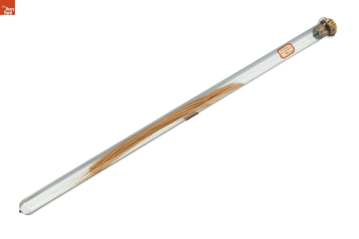 Tube of Bamboo Filaments, 1881