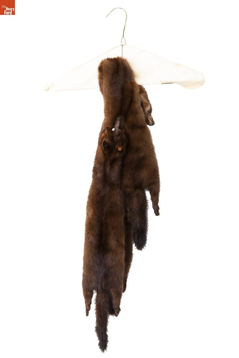 Fox Stole, Worn by Irene LeBay and Antoinette LeBay, 1950-1965