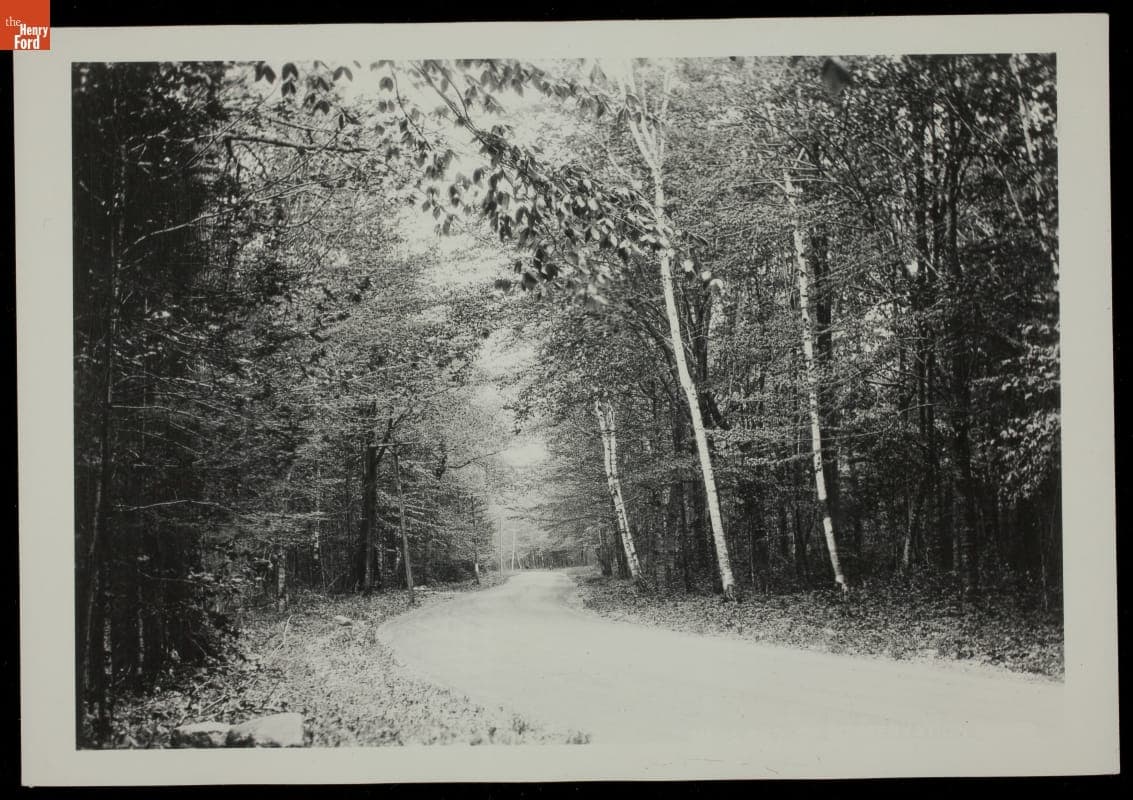 Road through J. W. Wells State Park in Michigan's Upper Peninsula, circa 1950