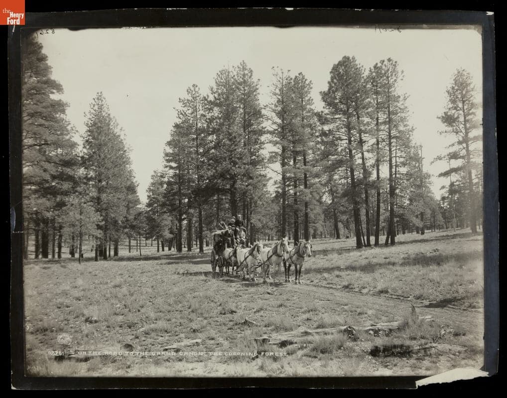 On the Road to the Grand Canon [sic]: the Coconino Forest, 1880-1900