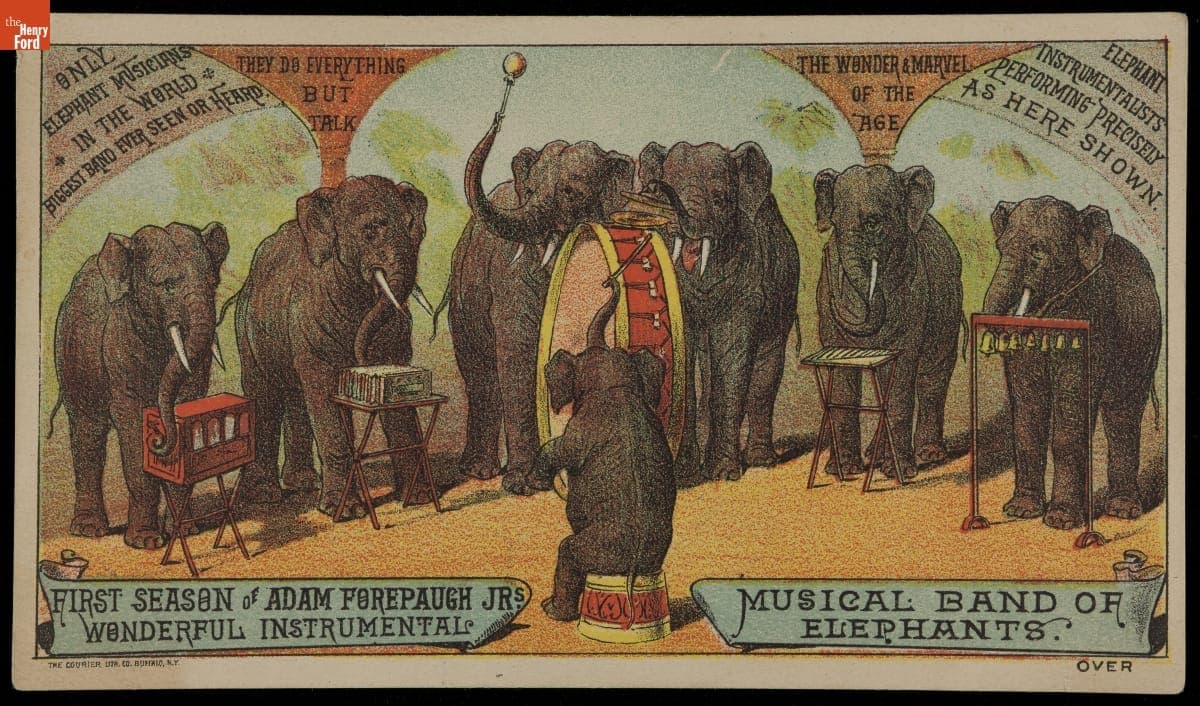 Trade Card for Adam Forepaugh & Sells Bros. Circus, "Musical Band of Elephants," 1870-1890