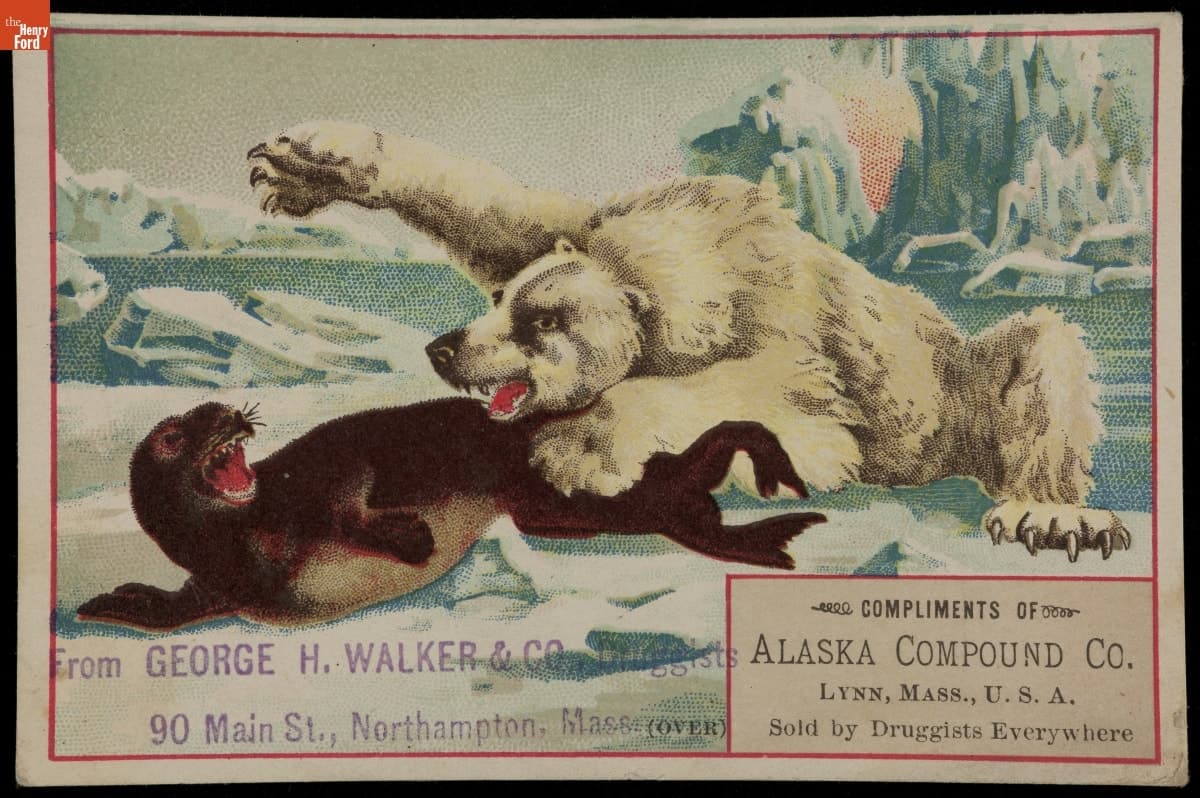 Trade Card for Alaska Catarrh Compound, Alaska Compound Co., circa 1884