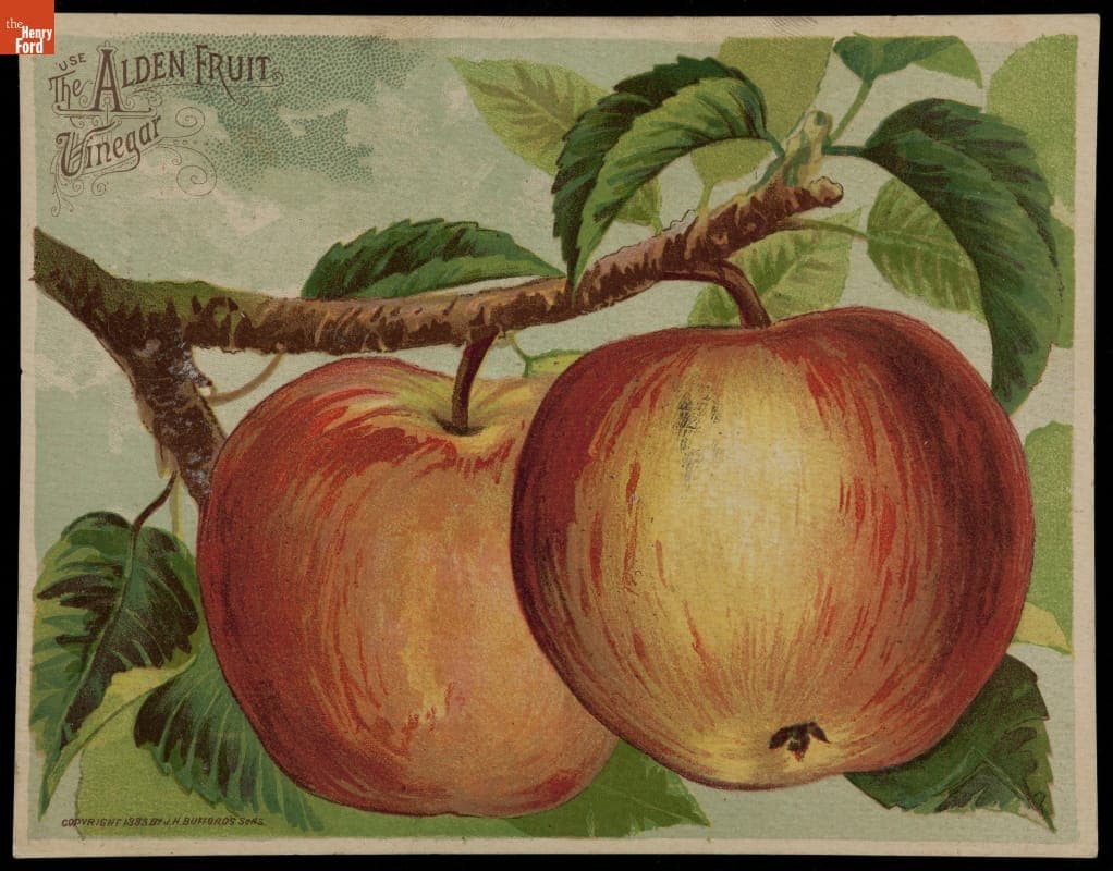 Trade Card for Alden Fruit Vinegar, 1883