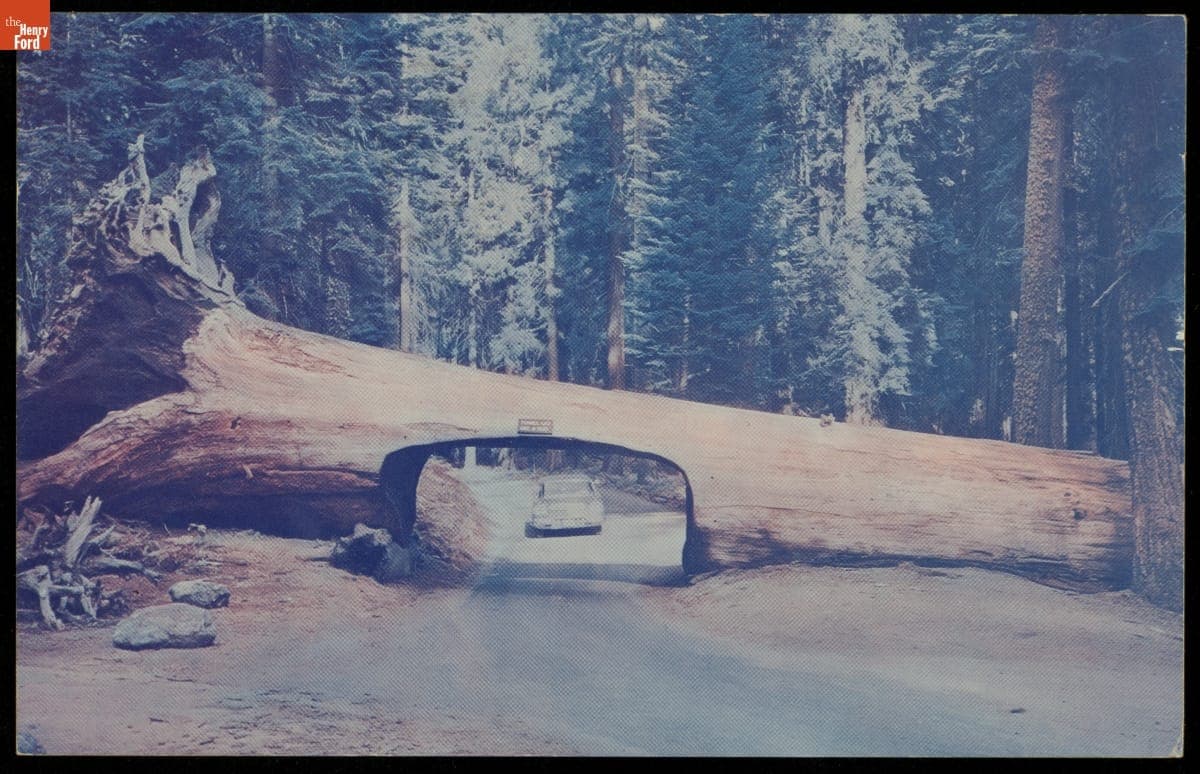 Car Under Tunnel Log, Sequoia National Park, 1963