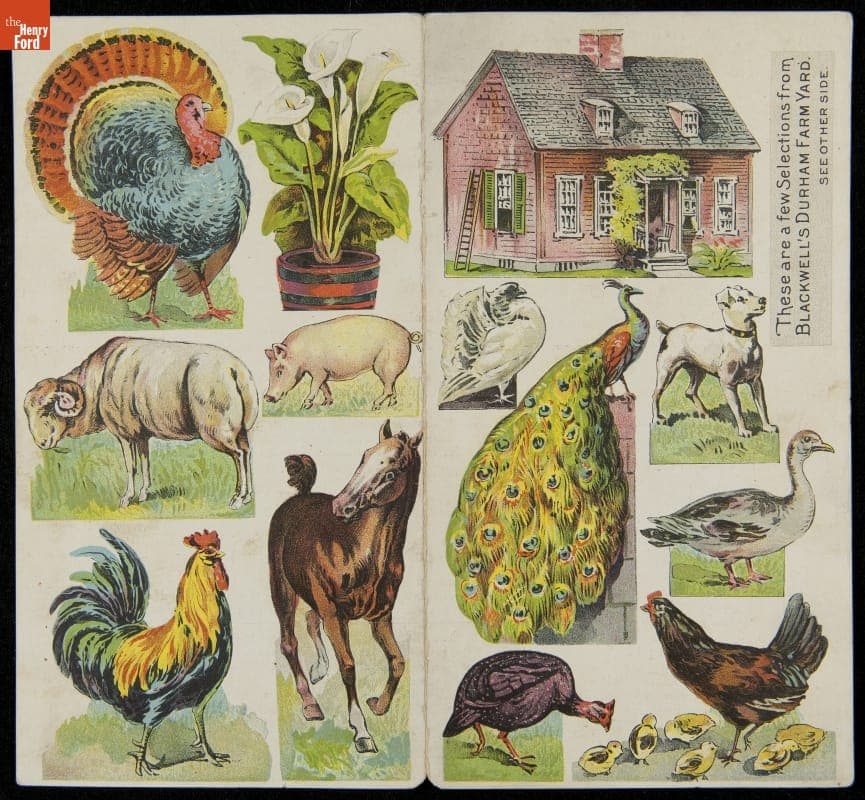 Trade Card for Blackwell's Durham Tobacco Company, "The Farm Yard," circa 1900