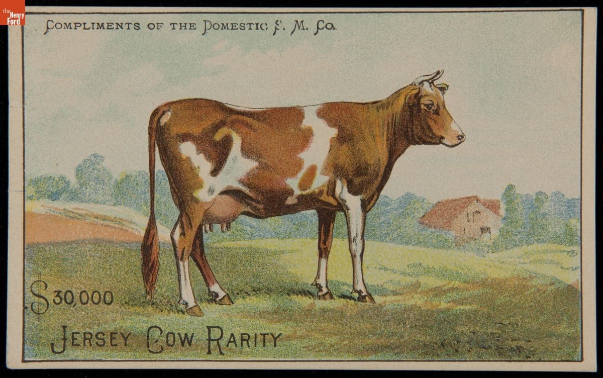 Trade Card for Domestic Sewing Machine Company, "Jersey Cow Rarity," 1880-1900