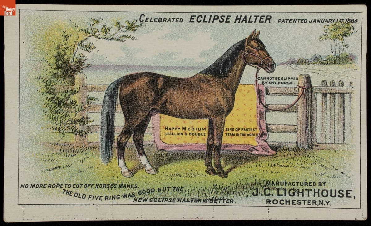 Trade Card for Horse Collars and "Eclipse" Halters, J. C. Lighthouse, 1884-1894