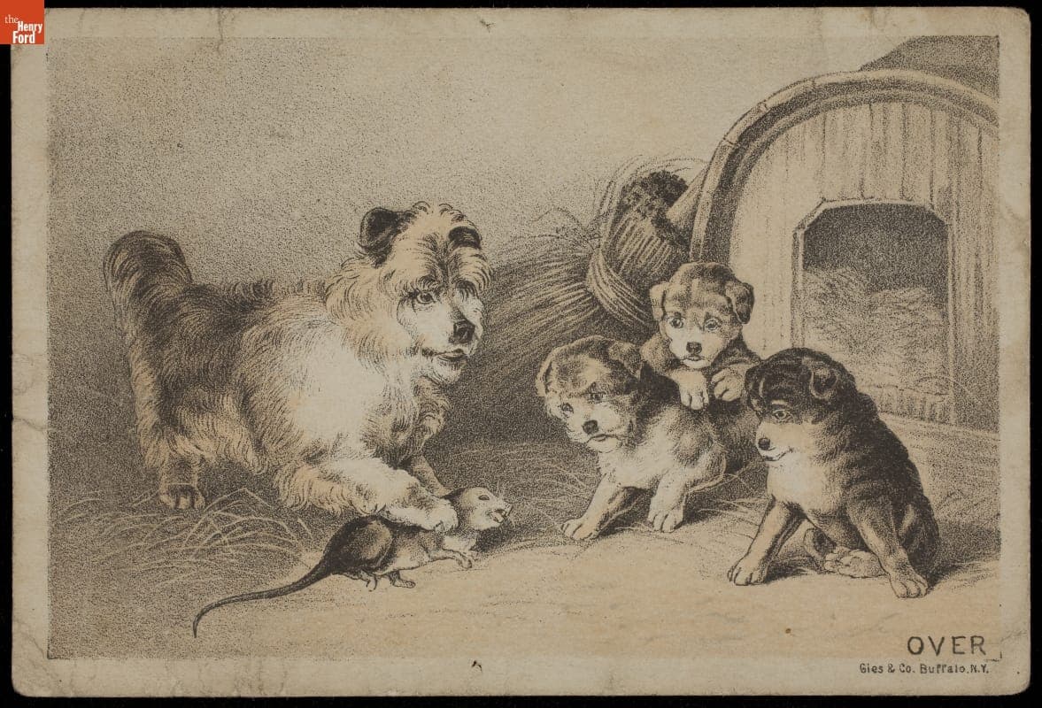 Trade Card Advertising a Social Dance, Letcher's Opera House, Fayette, Ohio, 1880