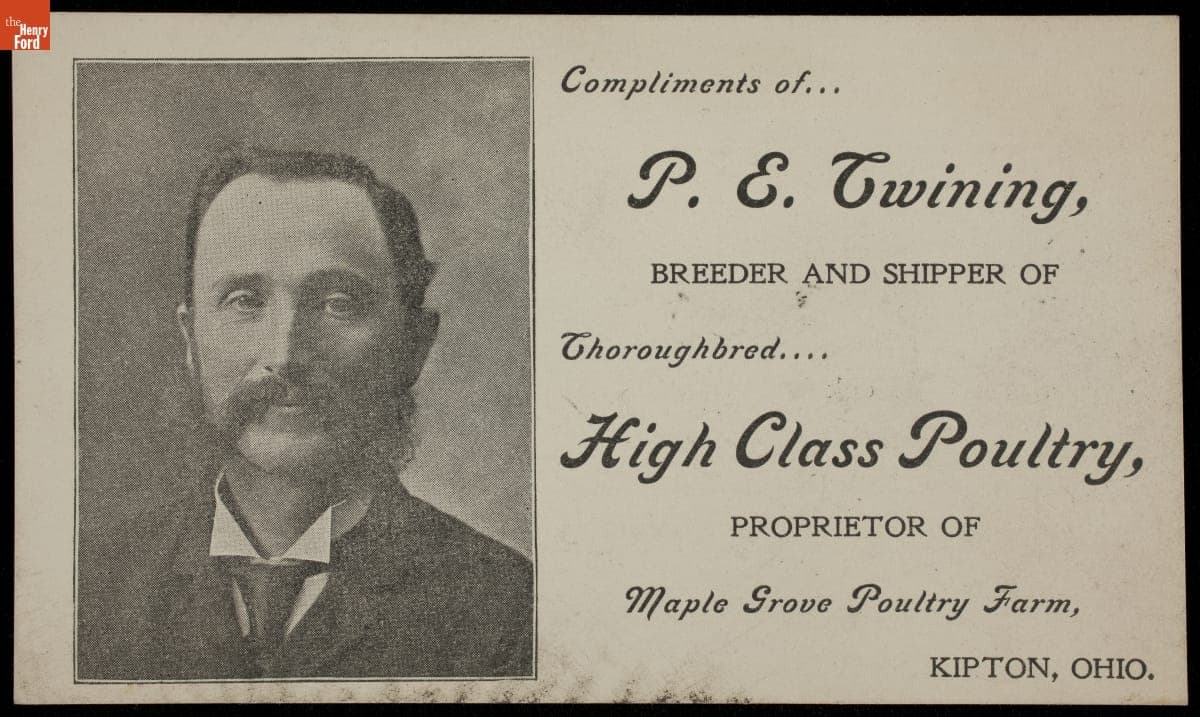 Trade Card for Thoroughbred Poultry, P. E. Twining, 1870-1900