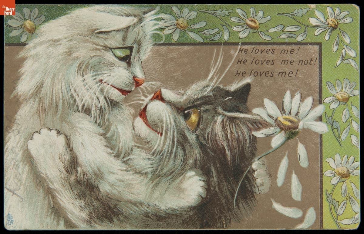 Postcard, Cats Embracing, "He Loves Me! He Loves Me Not!," 1907