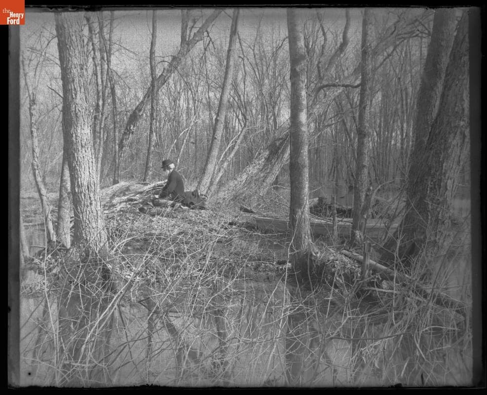 John Burroughs Sitting in Black Creek Swamp, West Park, New York, 1900