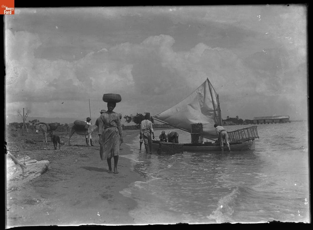 Scene on Beach during John Burroughs' "Lost February" in Jamaica, 1902