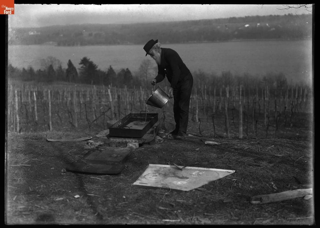 John Burroughs Pouring Maple Tree Sap, circa 1915