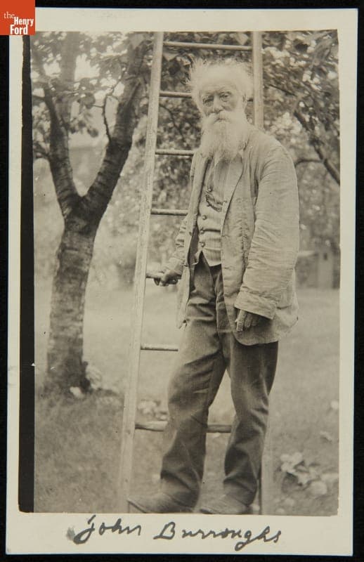 John Burroughs Holding a Ladder near Riverby, circa 1909