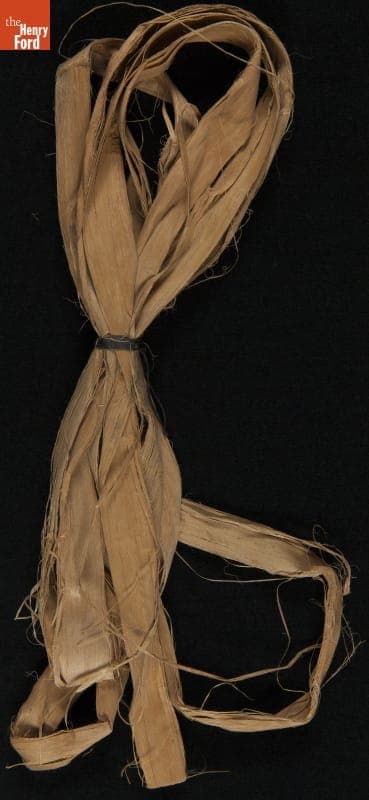 "Plant Samples--Sample #37--Tauary Churu, 1931"