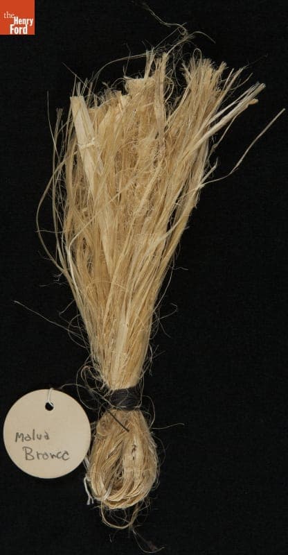 "Plant Samples--Sample #59--Malva Branca, 1931"