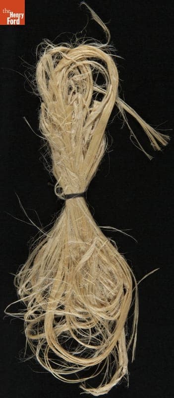 "Plant Samples--Sample #76--Relogio, 1931"