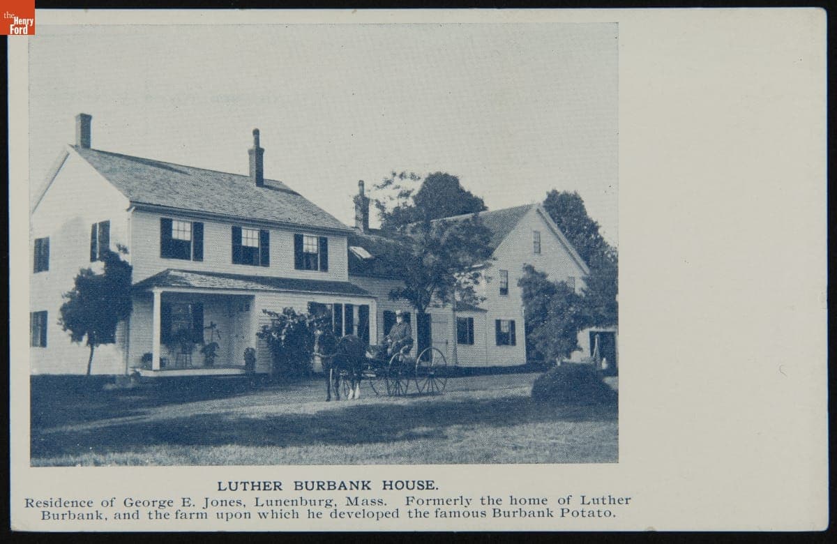 Postcard Showing the Luther Burbank House at its Original Site, Lancaster, Massachusetts