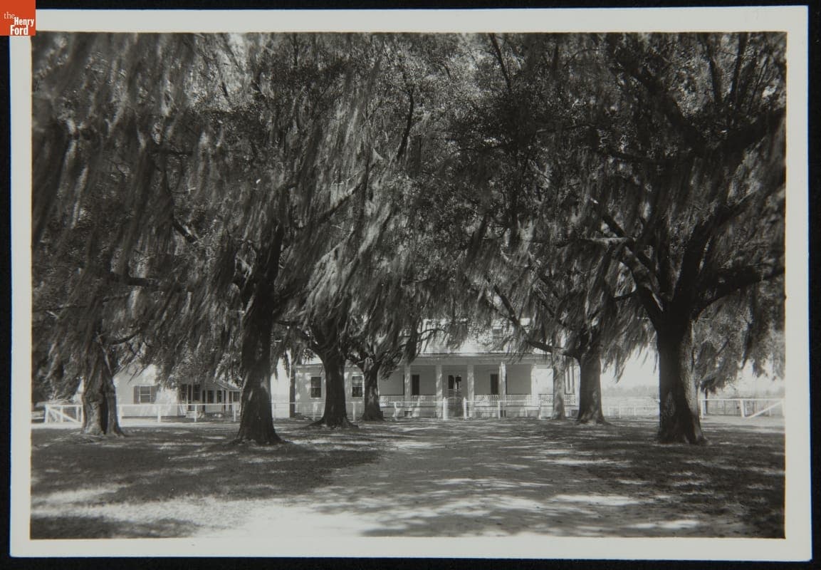 Cherry Hill Plantation House and Driveway, 1943
