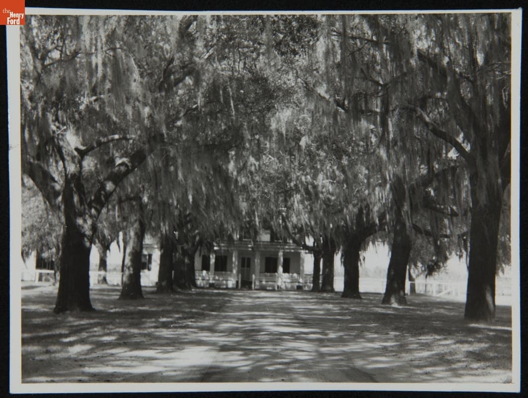 Cherry Hill Plantation House and Driveway, 1942